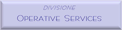 operative services